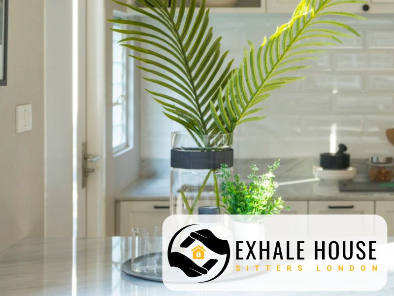 house sitters W8 united kingdom london